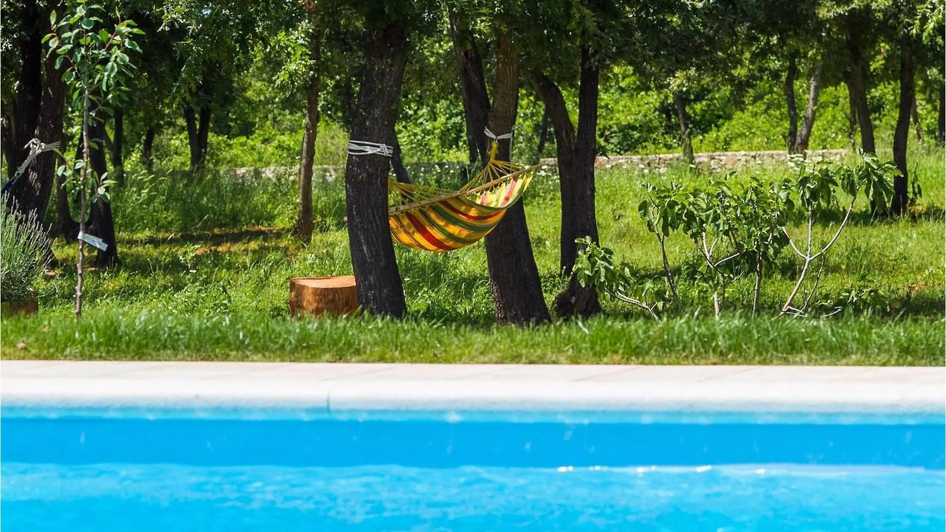 Villa Valade Rovinj Holiday home